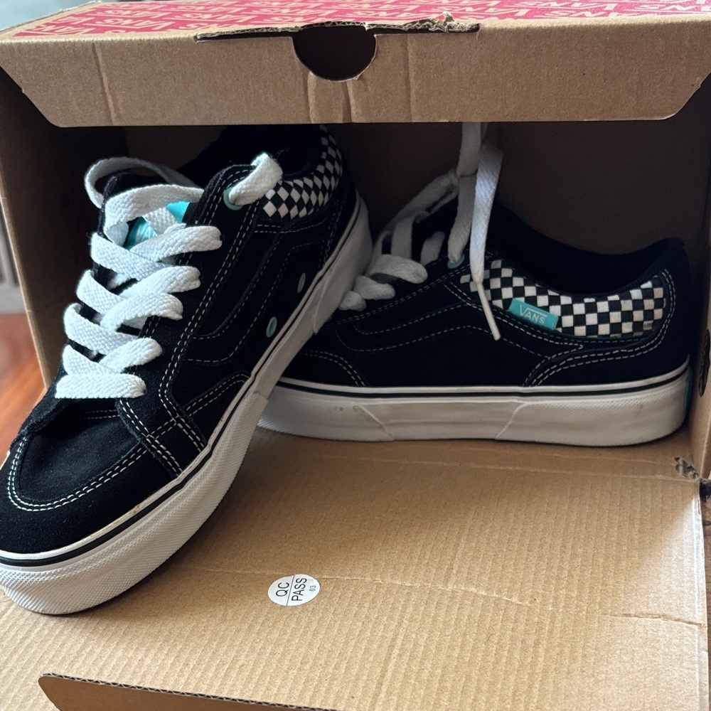 Vans Black and White Checkered Skate Shoes